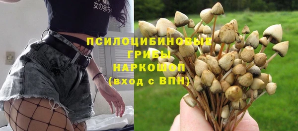 mdpv Алзамай