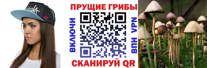 Галлюциногенные грибы GOLDEN TEACHER  Северская 