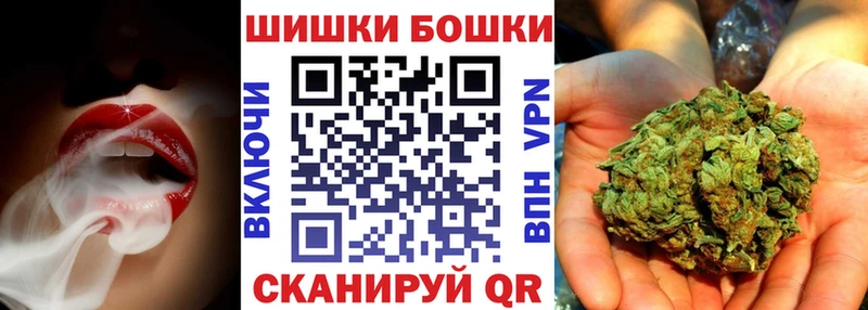 что такое   Северская  Бошки Шишки сатива 